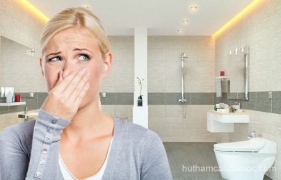Hút hầm cầu tại Phường 1 Bảo Lộc uy tín – phục vụ 24/7 – BH lâu dài Hút hầm cầu tại Phường 1 Bảo Lộc uy tín – phục vụ 24/7 – BH lâu dài