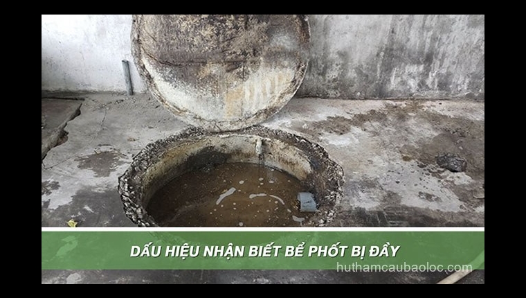 Xử Lý Mùi Hôi Nhà Vệ Sinh Phường 1 11 Giá Rẻ tại Phường 1 Bảo Lộc Xử Lý Mùi Hôi Nhà Vệ Sinh Phường 1 11 Giá Rẻ tại Phường 1 Bảo Lộc