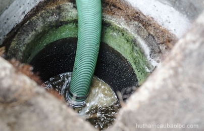 Xử Lý Mùi Hôi Nhà Vệ Sinh Phường Lộc Tiến Phường Lộc Tiến Rẻ tại Phường Lộc Tiến, Bảo Lộc