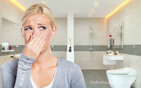 Hút hầm cầu tại Phường 1 Bảo Lộc uy tín – phục vụ 24/7 – BH lâu dài tại Phường 1 Bảo Lộc - hình ảnh dịch vụ tại Bảo Lộc, Lâm Đồng