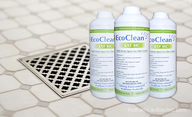 Kinh nghiệm Hút hầm cầu Phường Lộc Sơn Bảo Lộc sạch 100% – không mùi – bảo hành 5 năm tại Phường Lộc Sơn, Bảo Lộc tại Bảo Lộc Kinh nghiệm Hút hầm cầu Phường Lộc Sơn Bảo Lộc sạch 100% – không mùi – bảo hành 5 năm tại Phường Lộc Sơn, Bảo Lộc tại Bảo Lộc