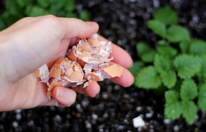 Cách Thông Cống Nhà Tắm Bị Tắc Cách Thông Cống Nhà Tắm Bị Tắc