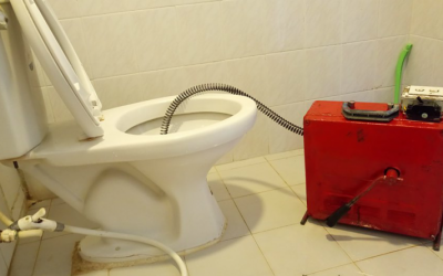 THÔNG CỐNG NGHẸT HUYỆN BẢO LỘC THÔNG CỐNG NGHẸT HUYỆN BẢO LỘC